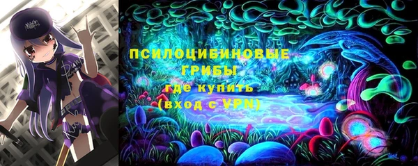 герыч Алзамай