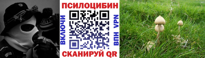 Псилоцибиновые грибы ЛСД  Себеж 