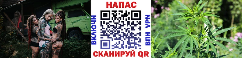 Шишки марихуана сатива Себеж